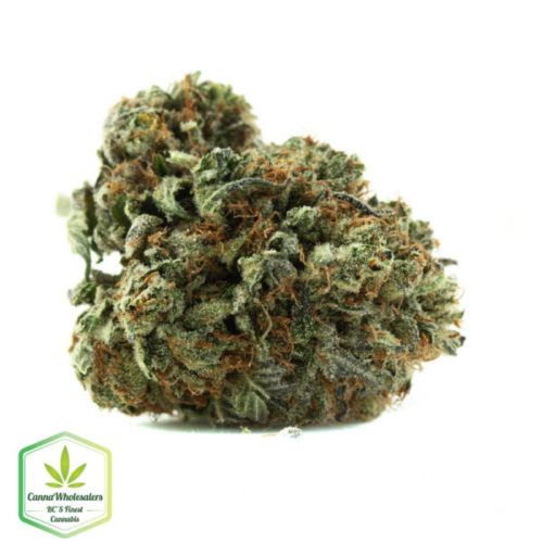 Mendochino Purps online weed dispensary