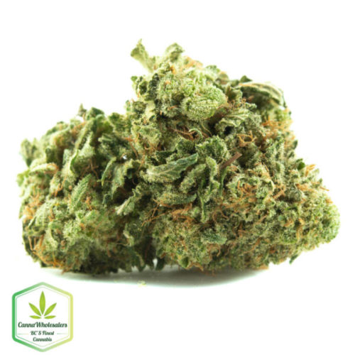 Pineberry online weed dispensary