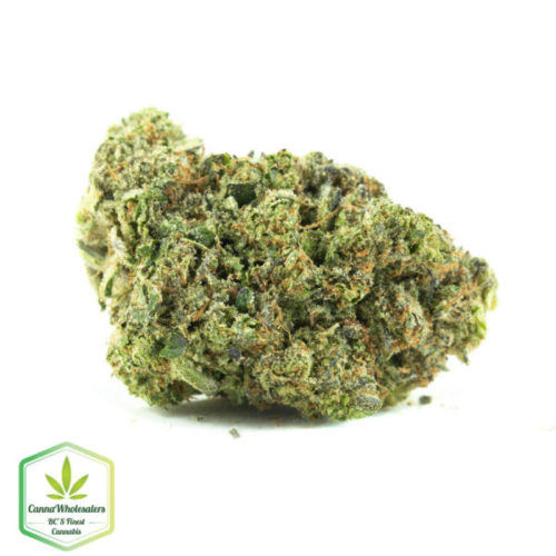 PRE-98 Bubba Kush online weed dispensary