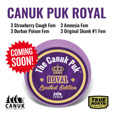 The Limited Edition Canuk Puk Royal