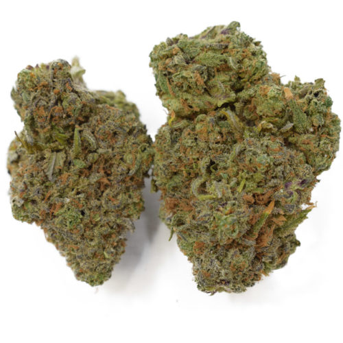 Buy Purple Alien Cookie Online from a reliable dispensary in BC