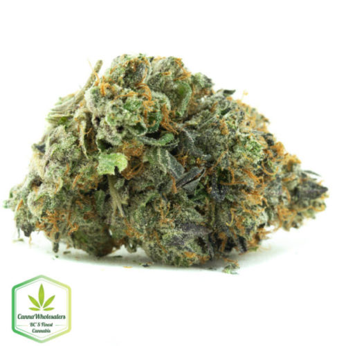 Purple Bubba online weed dispensary