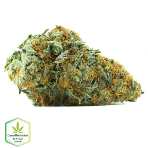 Budget Bulk Red Congolese online weed dispensary