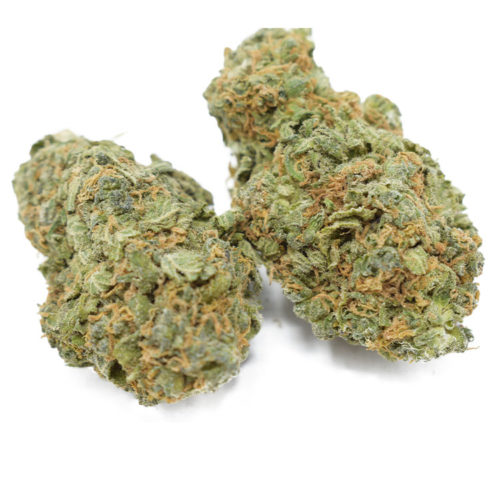Buy Clementine and other uplifting sativa strains online.