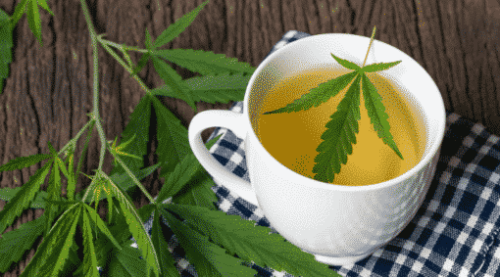 weedsmart_image_Drinking Cannabis
