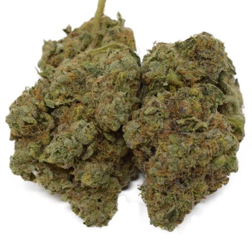 Buy Mother's Milk weed strain and other sativa exotic buds online in Canada.