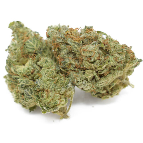 Buy AK 47 weed strain online in Canada with free shipping.