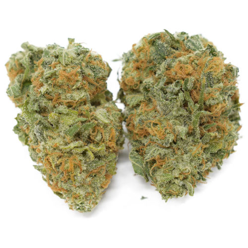 A cross between Tangerine Power and Girl Scout Cookies Thin Mint, Mandarin Cookies is a hybrid strain that is rich in terpenes and potent in strength.