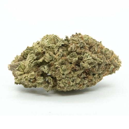 Acapulco Gold | Buy Cannabis Online Crystal Cloud 9
