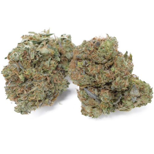 Blue God is a powerful indica strain that is parented by God Bud and Blueberry. Buy Blue God strain online in Canada with free shipping.