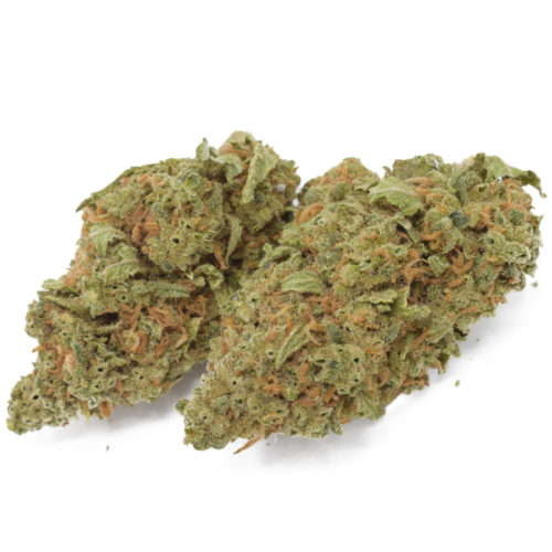 Buy Orange Cookies weed from an online dispensary, and get the best fruity hybrid weed strains in Canada