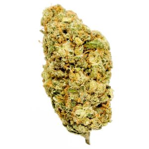 red-congolese-weed-strain