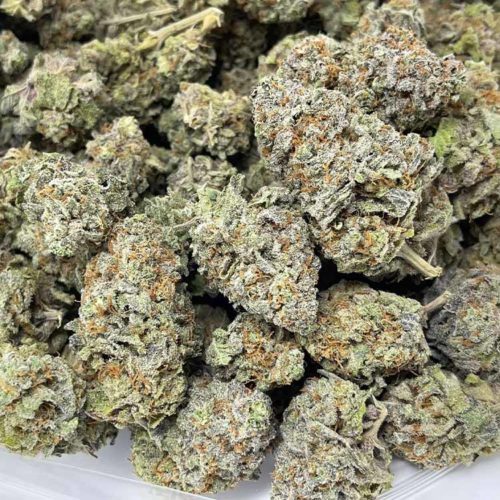 Sundae Driver is an even hybrid cannabis strain with amazing bag appeal and rich creamy flavours.