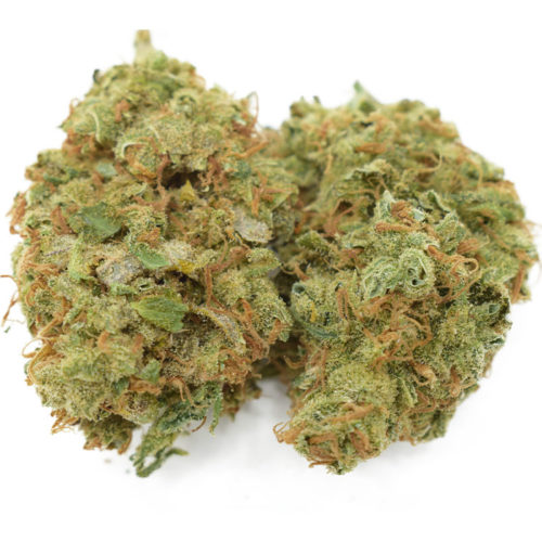 Super silver haze is a marijuana strain with a musky odor that makes it a great choice for vape pen flavors
