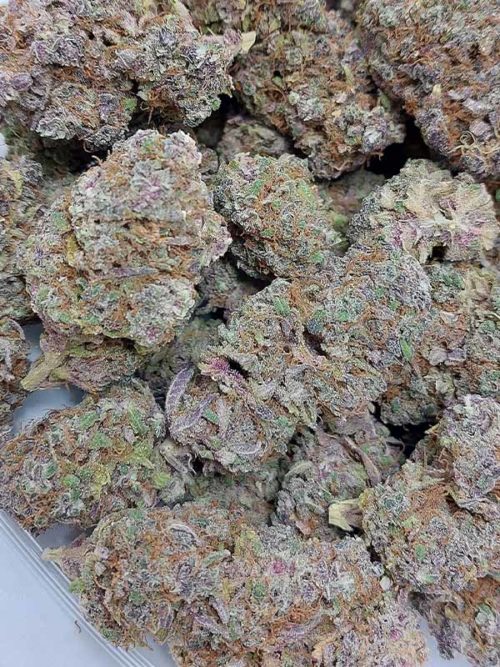 Bubble Gum weed is a sativa dominant hybrid strain that gives smokers a clear headed and uplifting high, you can buy Bubble Gum weed from Canada's best online dispensary for same day shipping