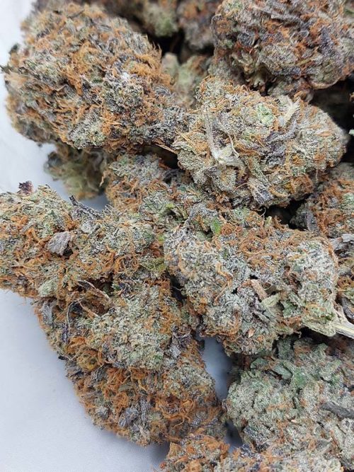 Vanilla Gorilla is a rare indica dominant strain that was bred by the infamous Exotic Genetix.