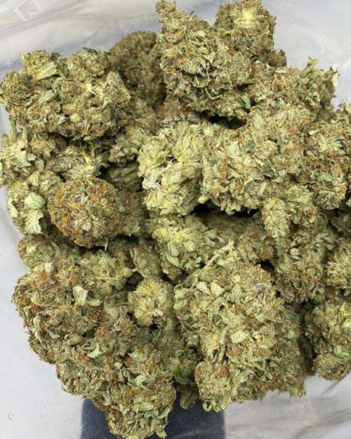 For those of you who are looking to buy weed online, Kosher Kush from CannabudPost is true to its original taste and flavor
