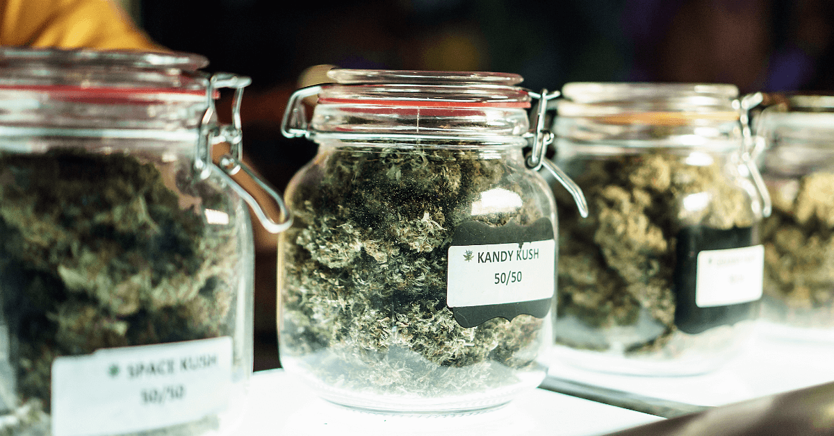Storing Weed to Keep it Fresh and Potent For Longer