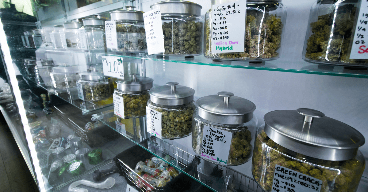 Final Words on the Shelf Life of Weed and Ways to Keep Weed Fresh For Longer